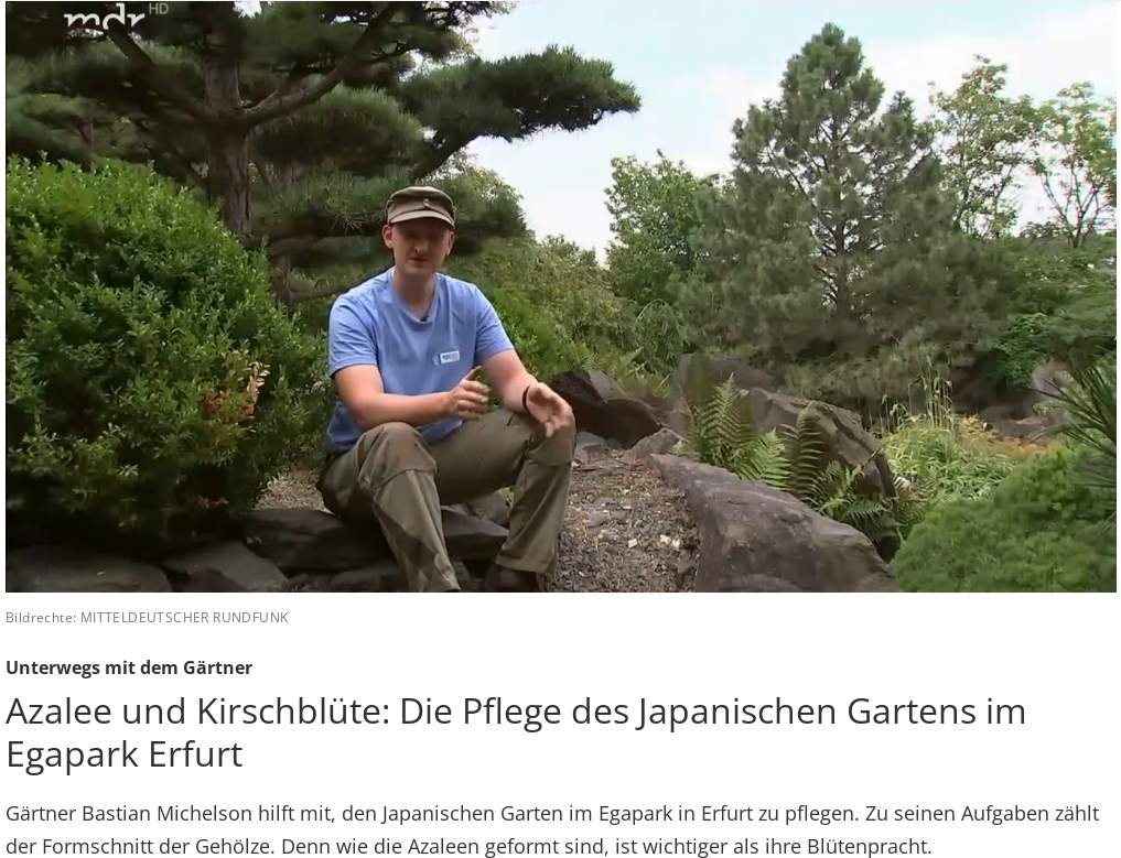  Mit NS-Feldmütze von japanischen Gärten schwärmen: Bastian Michelsson 2021 im MDR